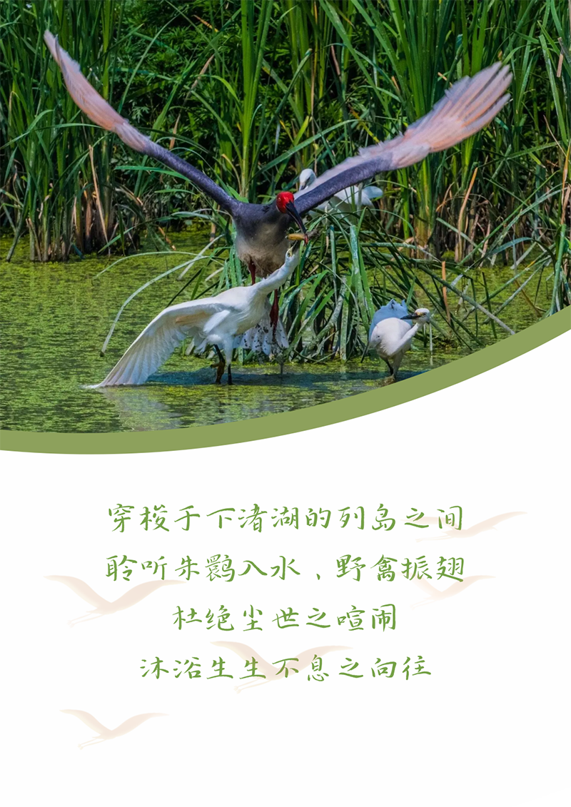 ������إ ���9599������������� | �������Լ ��إ�ص���