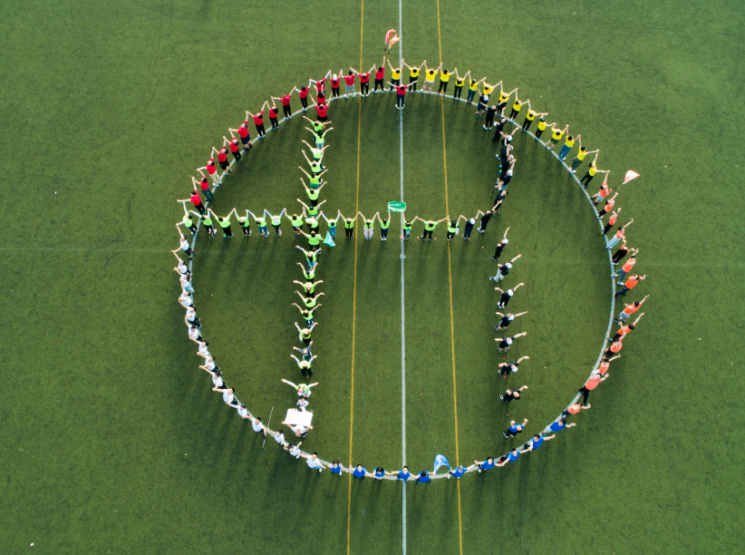 ����������1����ҵ���ܲ���6����Ӫ��ҵ�ܲ���