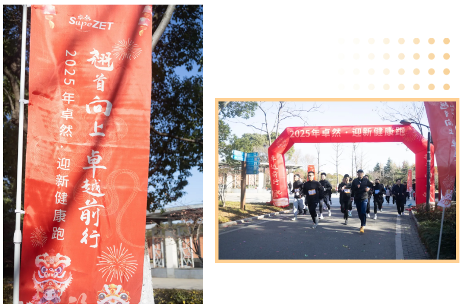 ����2024 ����2025 | 9599�������������ɷ�2025���ս�����˳���ٿ�